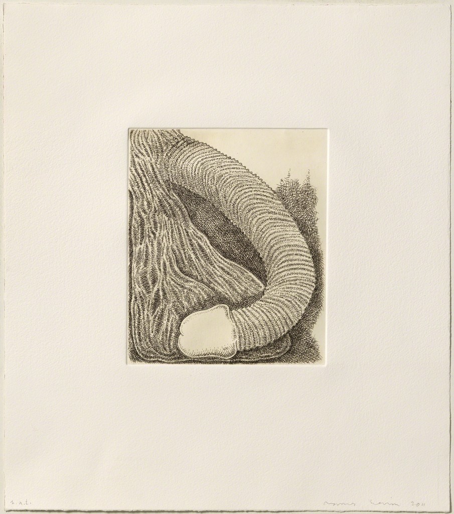 James Siena – Membre, 2011 – Radierung