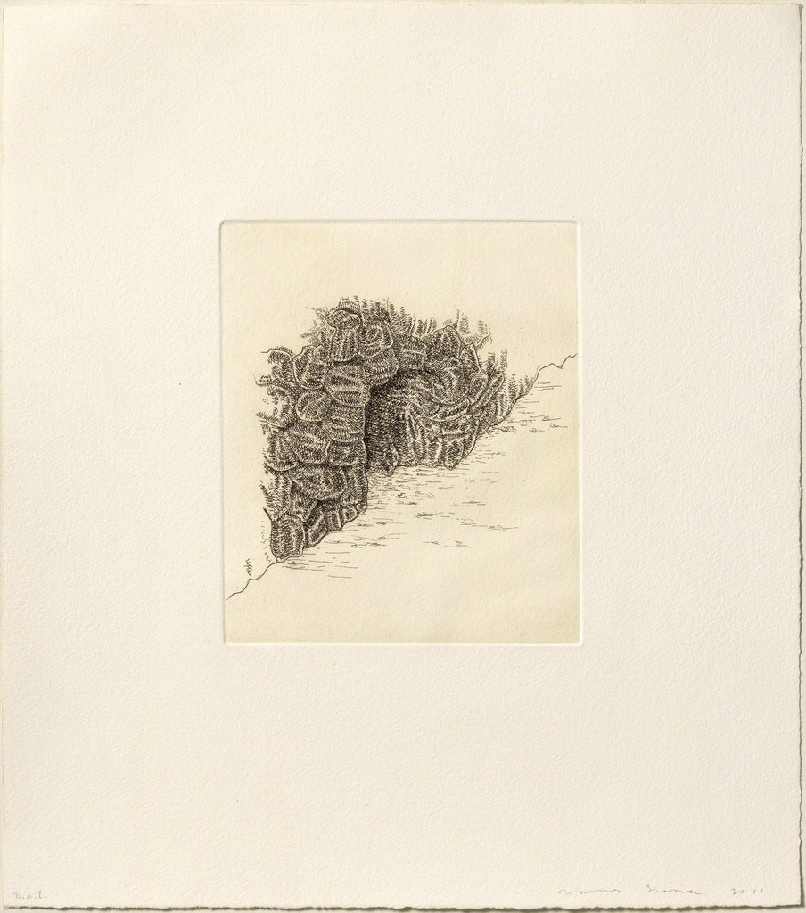 James Siena – Cova, 2011 – Aguafuerte