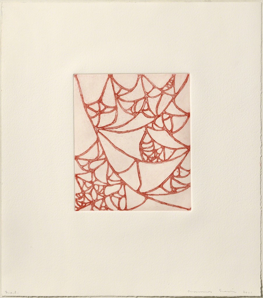 James Siena – Línies pesades i infectades, 2011 – Etching and dry point