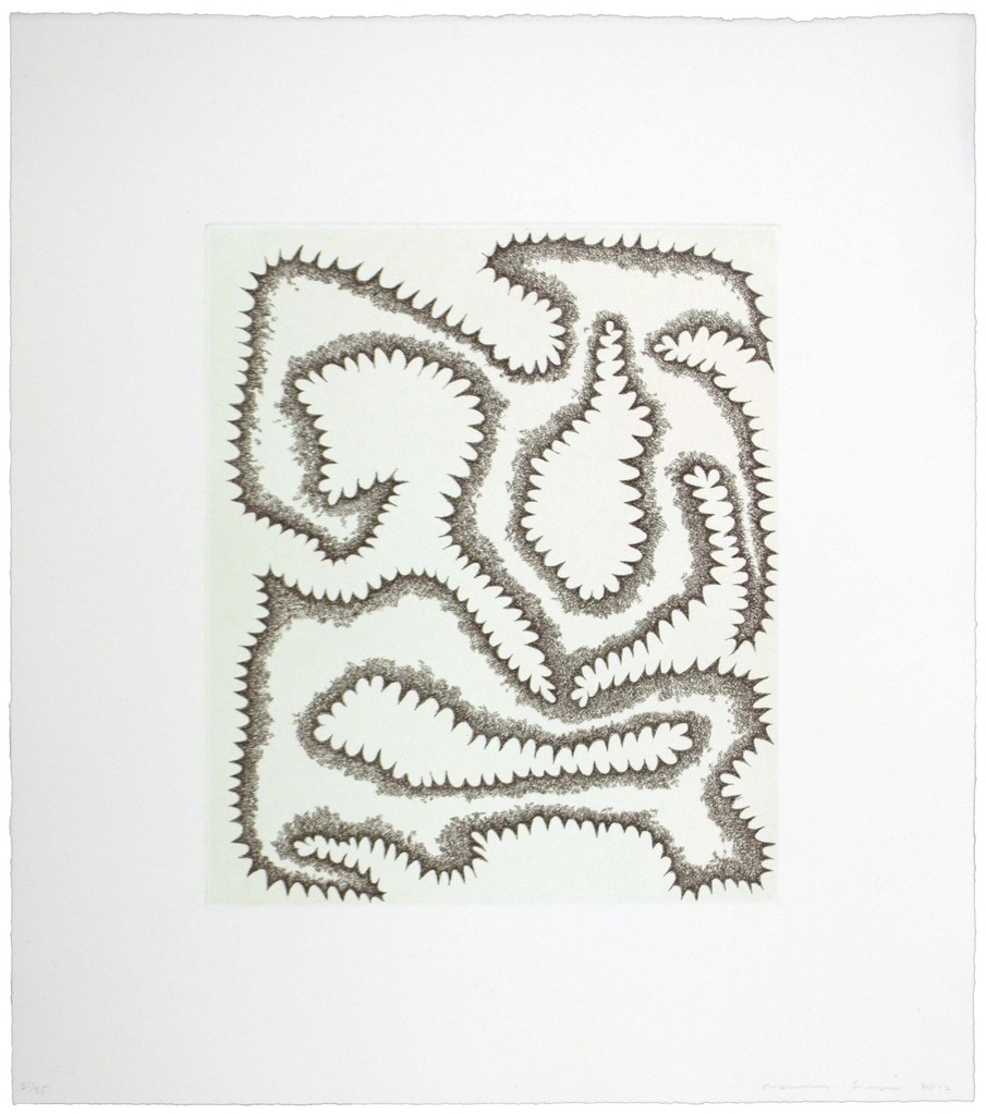 James Siena – Forma enfadada amb dents, 2013 – Aguafuerte