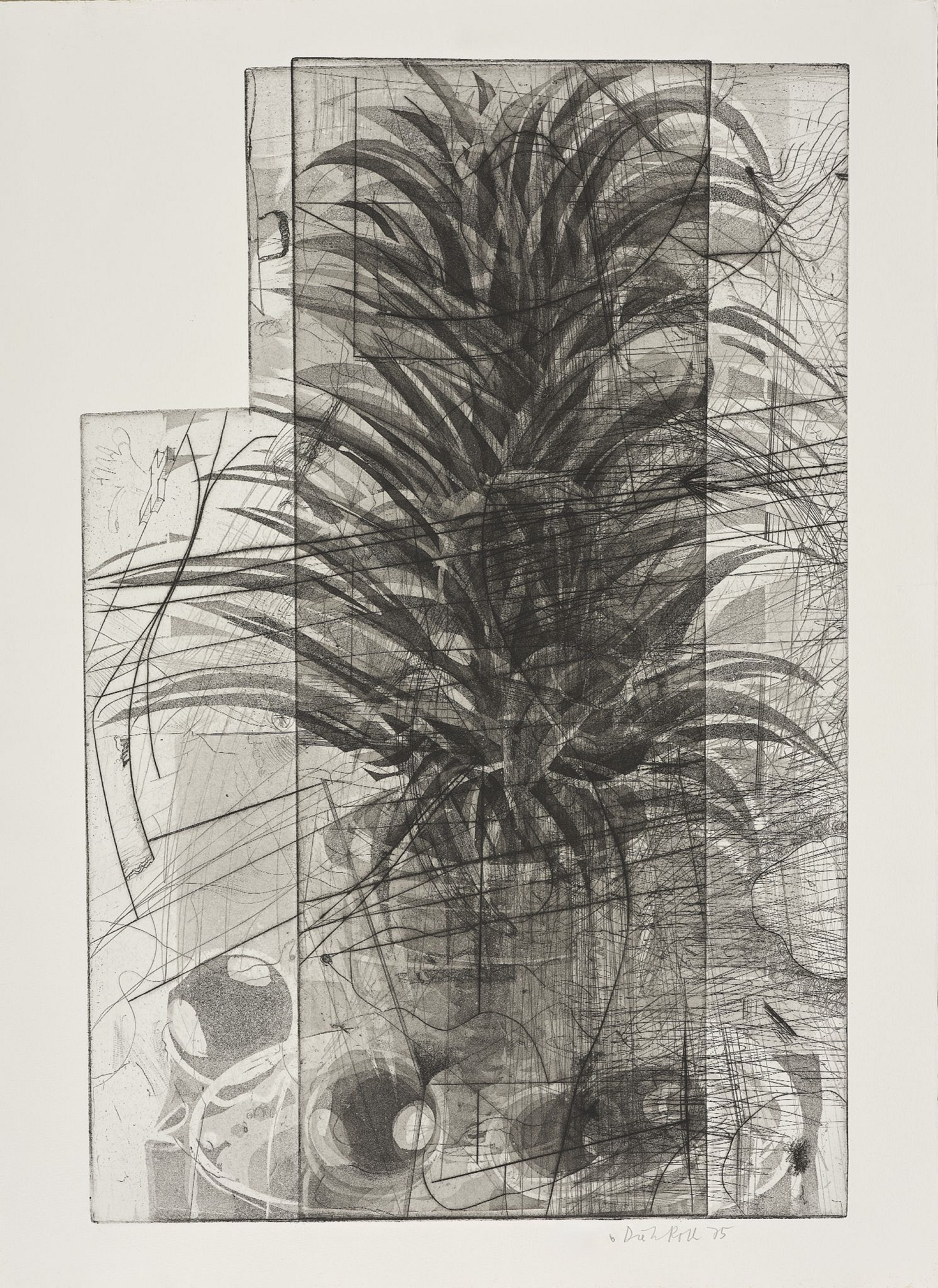 Dieter Roth – Steep Potplant, 1975 – Drypoint