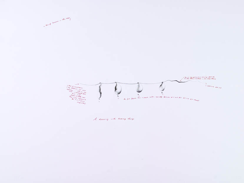 Nedko Solakov – A Drawing with Lacking Things, 2004 – Siebdruck