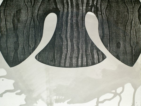 Alison Wilding – Swallow, 2010 – Woodcut