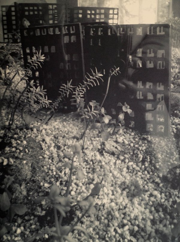 Cristina Iglesias – Aquarium II, 2, 2011 – Fotograbado