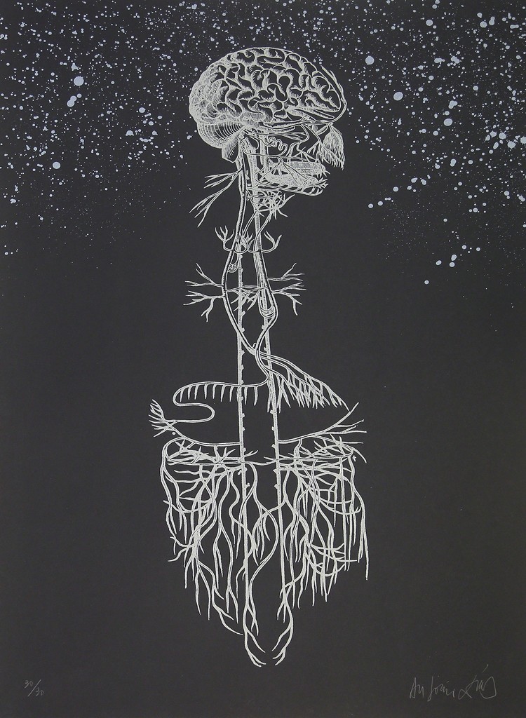 Antonio Dias – Navegador, 2015 – Lithografie