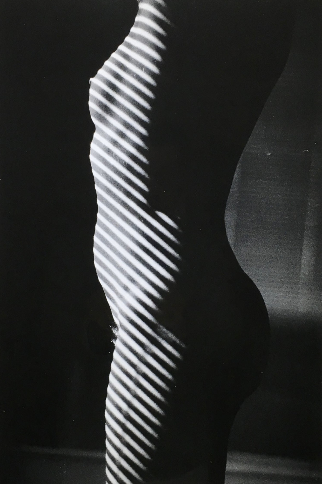 Ralph Gibson – Tropism L'anonyme, 1981 – Silberfarbener Gelatinendruck