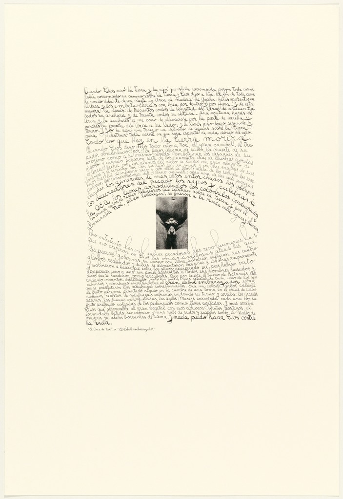 León Ferrari – Árbol embarazador, 2009 – Litografía