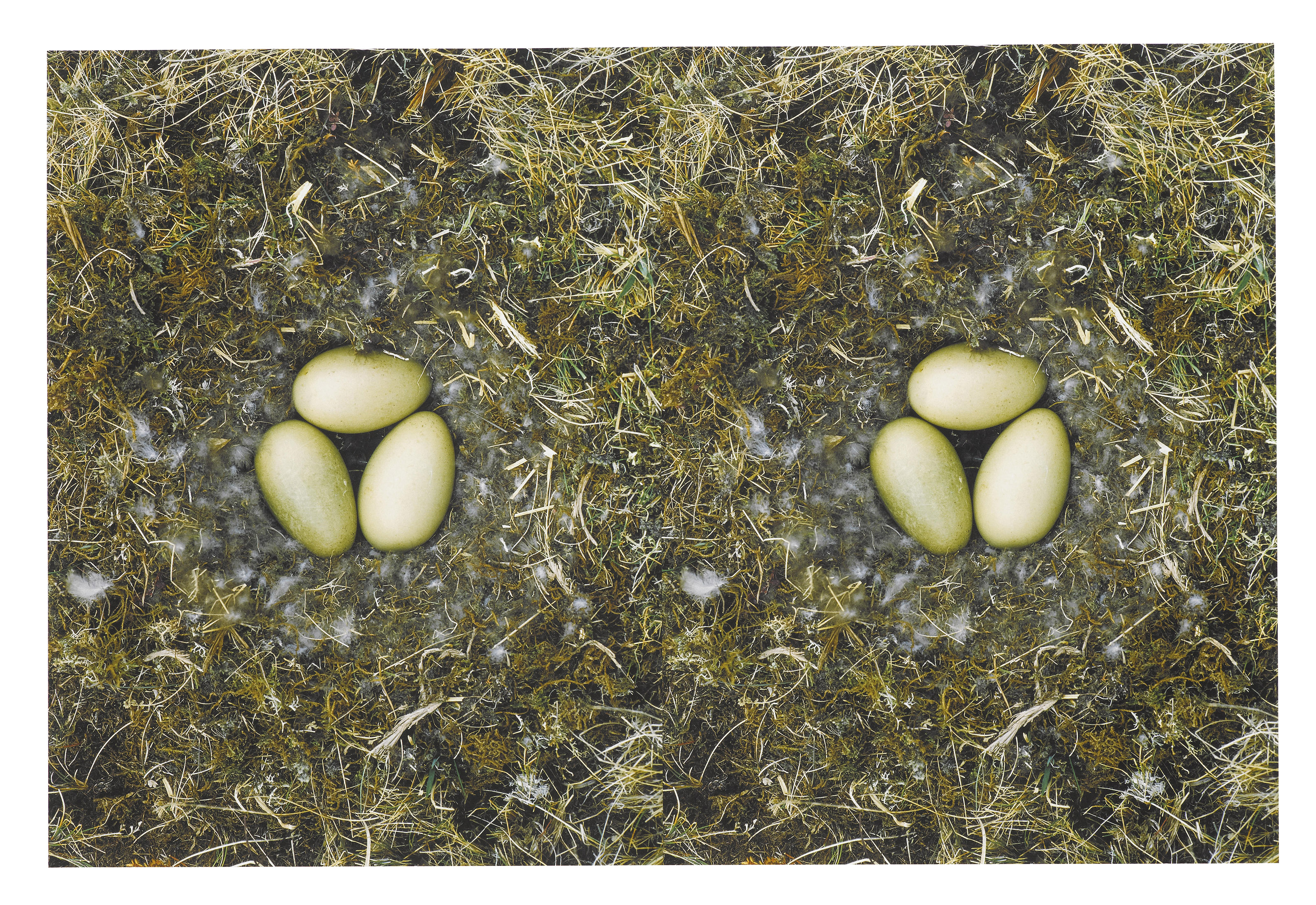 Roni Horn – To Nest, Number 5, 1997 / 2001 – Mischtechnik