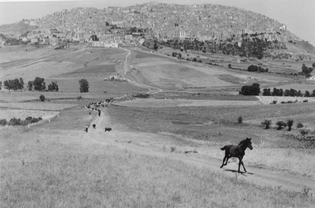 Leonard Freed – Back Horse, 1974 – Archival-Print