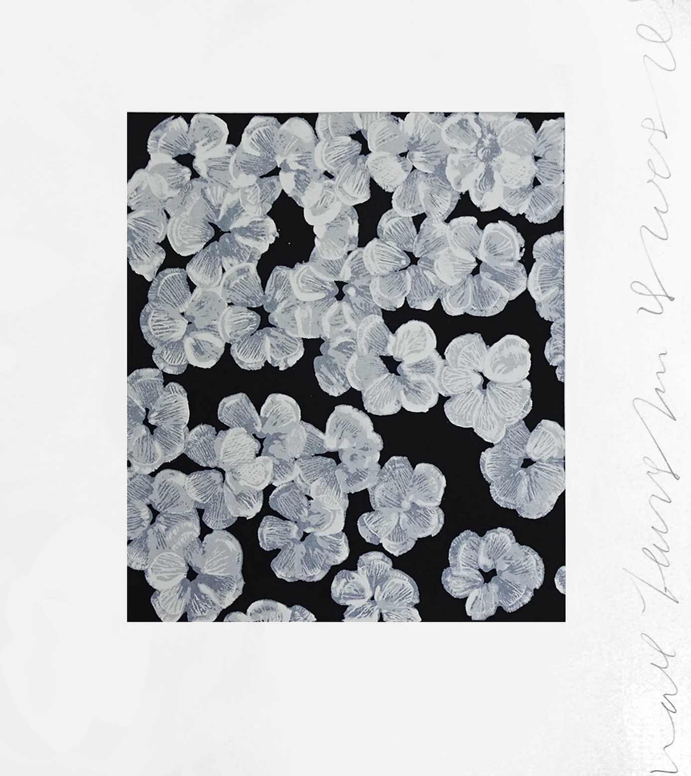 Donald Sultan – Wall flower 8, 2008 – Zeefdruk
