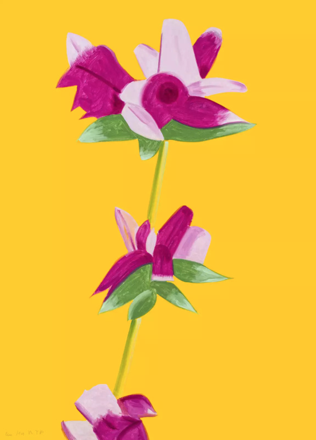 Alex Katz – Azaleas on Yellow, 2021 – Impression pigmentaire