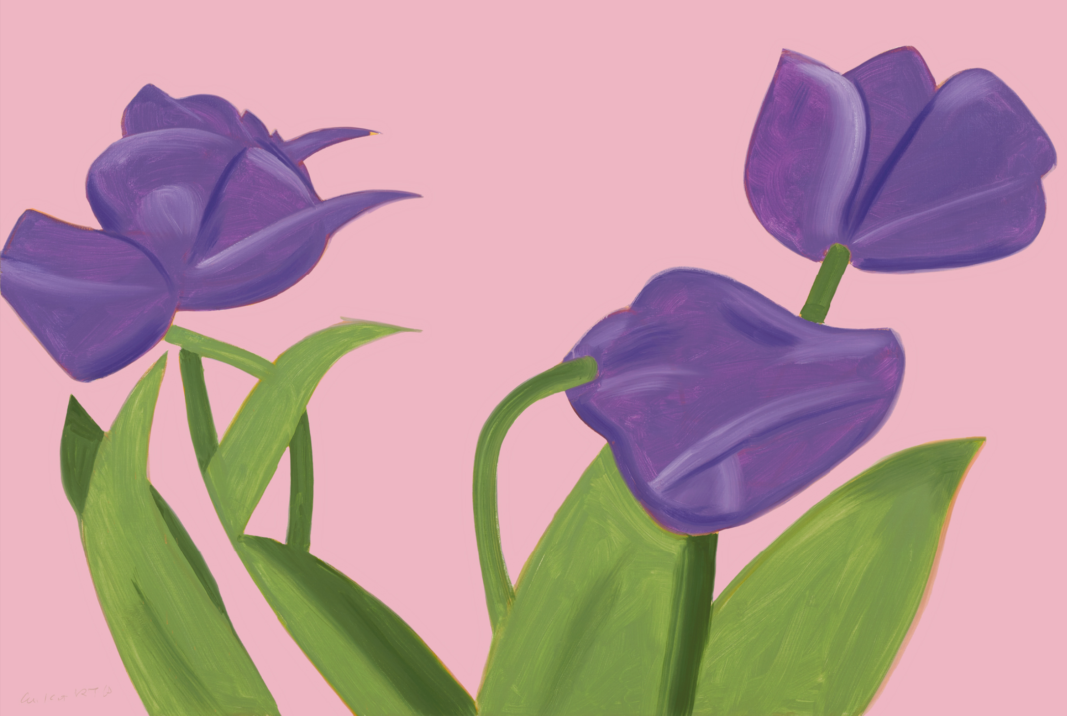 Alex Katz – Purple Tulips I, 2021 – Impression pigmentaire