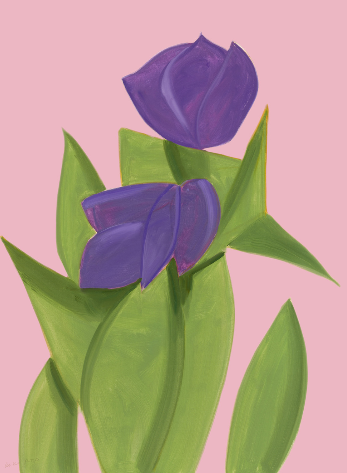 Alex Katz – Purple Tulips 2, 2021 – Pigment print
