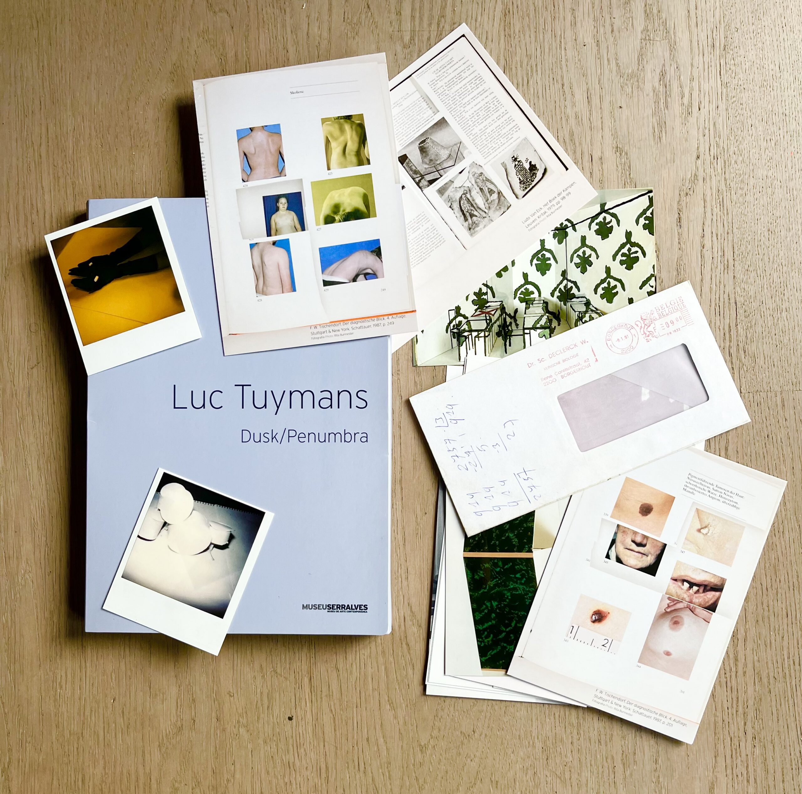 Luc Tuymans – Dusk/Penumbra (book), 2006 – Mixed Media