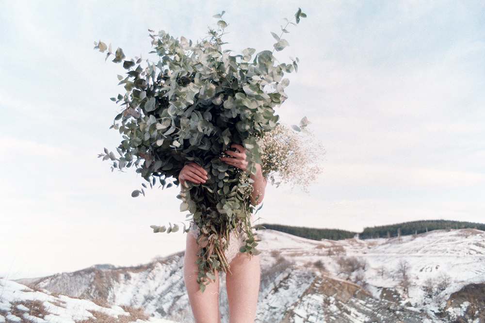Mariam Sitchinava – Winter Bouquet, 2016 – Photograph