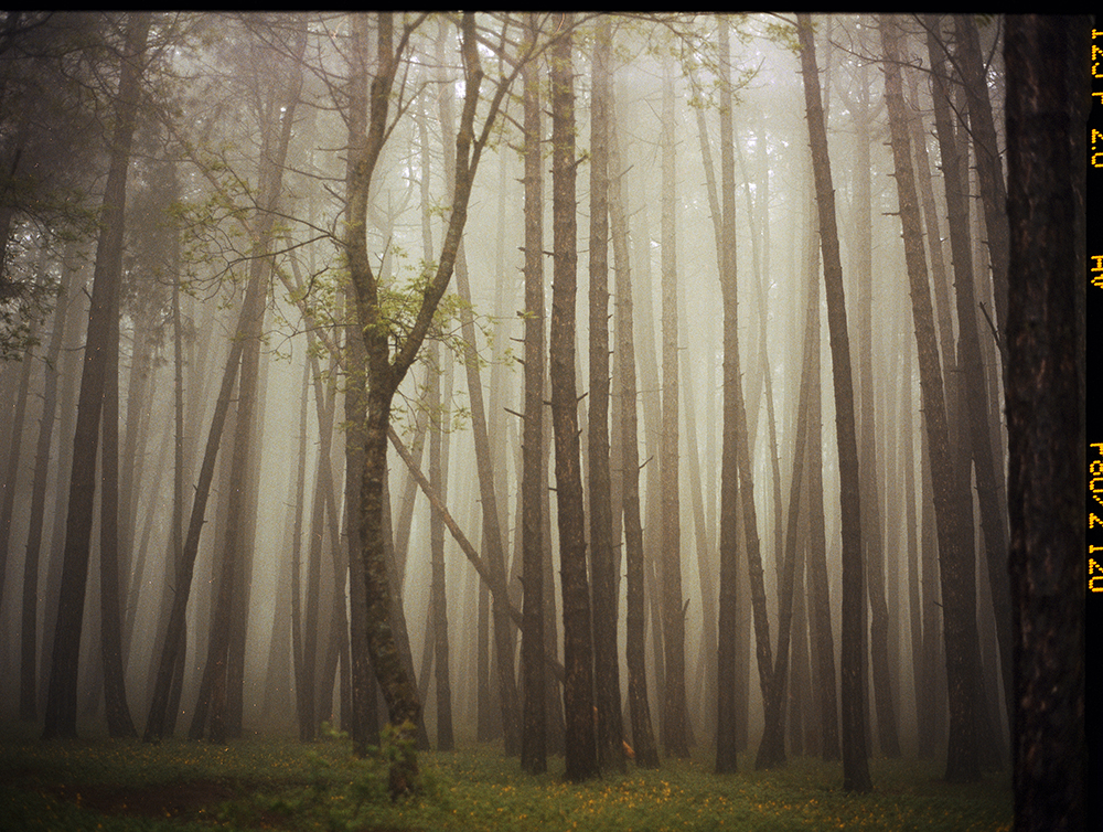 Mariam Sitchinava – Upslope Fog in May, 2021 – Fotografía