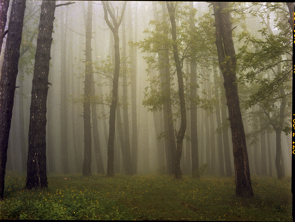 Mariam Sitchinava – Upslope Fog in May 2, 2021 – Photographie