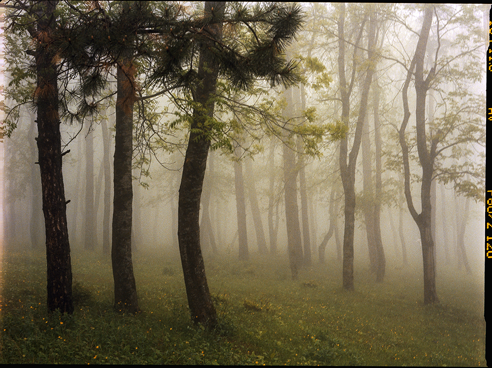 Mariam Sitchinava – Upslope Fog in May 3, 2021 – Fotografía