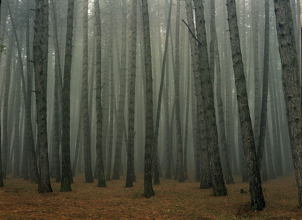 Mariam Sitchinava – Fog in September 2, 2021 – Fotografía