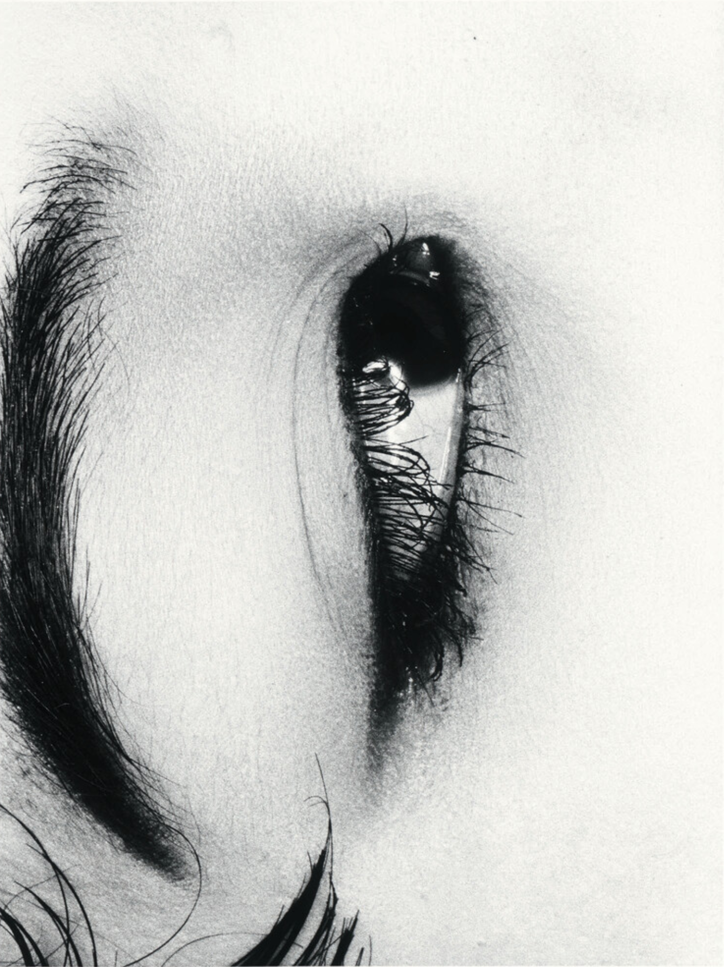 Nobuyoshi Araki – Untitle from Erotos, 1993 – Photographie Gélatine