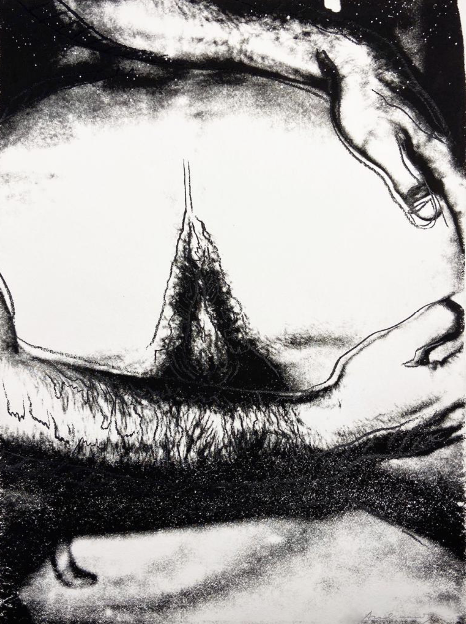 Andy Warhol – Sex Parts II.173, 1978 – Screen-print