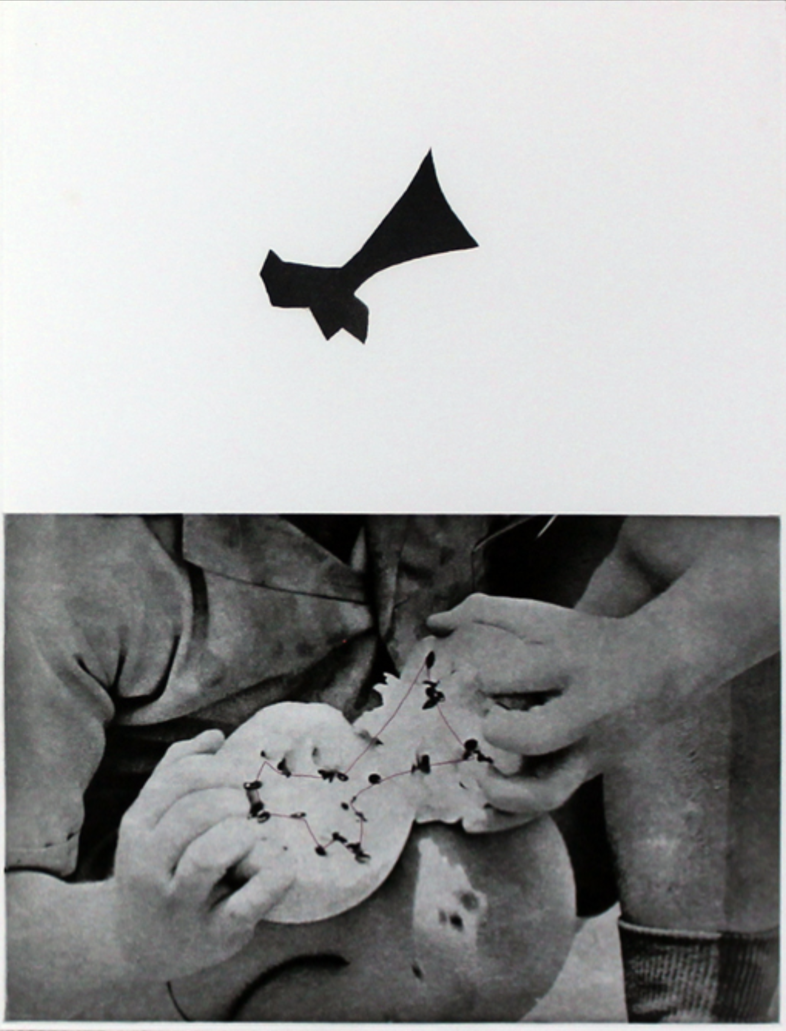John Baldessari – Seeds, 1986 – Radierung und Aquatinta