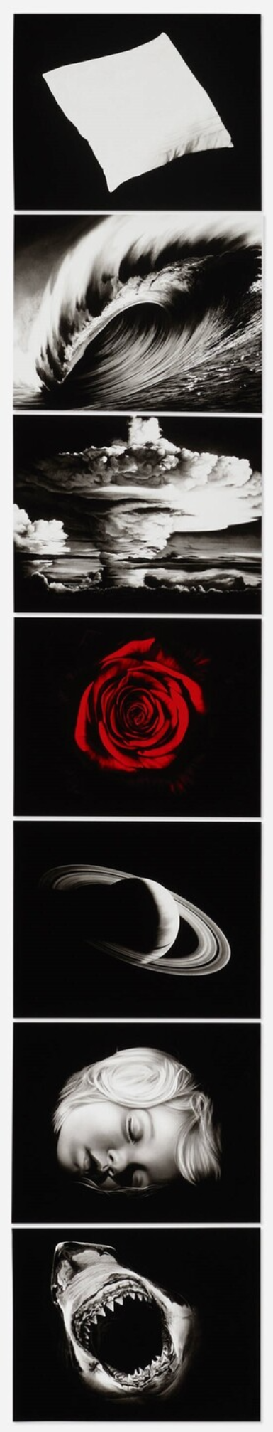Robert Longo – Essentials (from the Forty Are Better Than One series), 2009 – Pigment print
