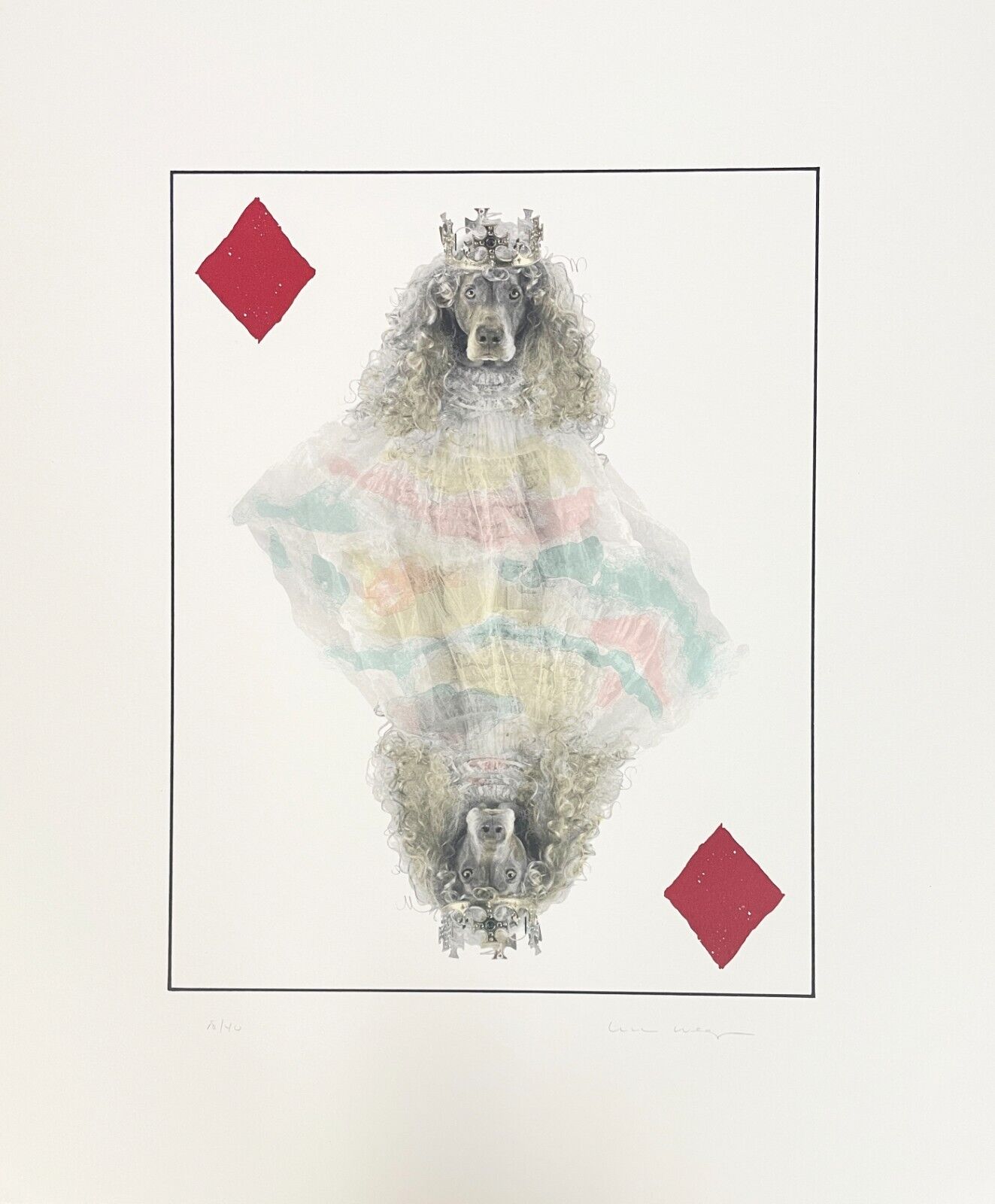 William Wegman – Royal Flush -Diamonds (Pastel-Blue), 1998 – Lithographie