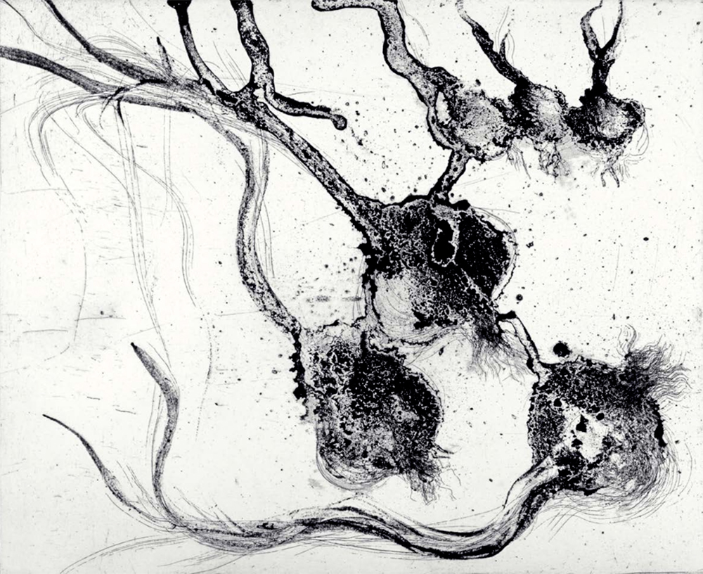 Miquel Barceló – Lanzarote 25, 2000 – Etching and Aquatint
