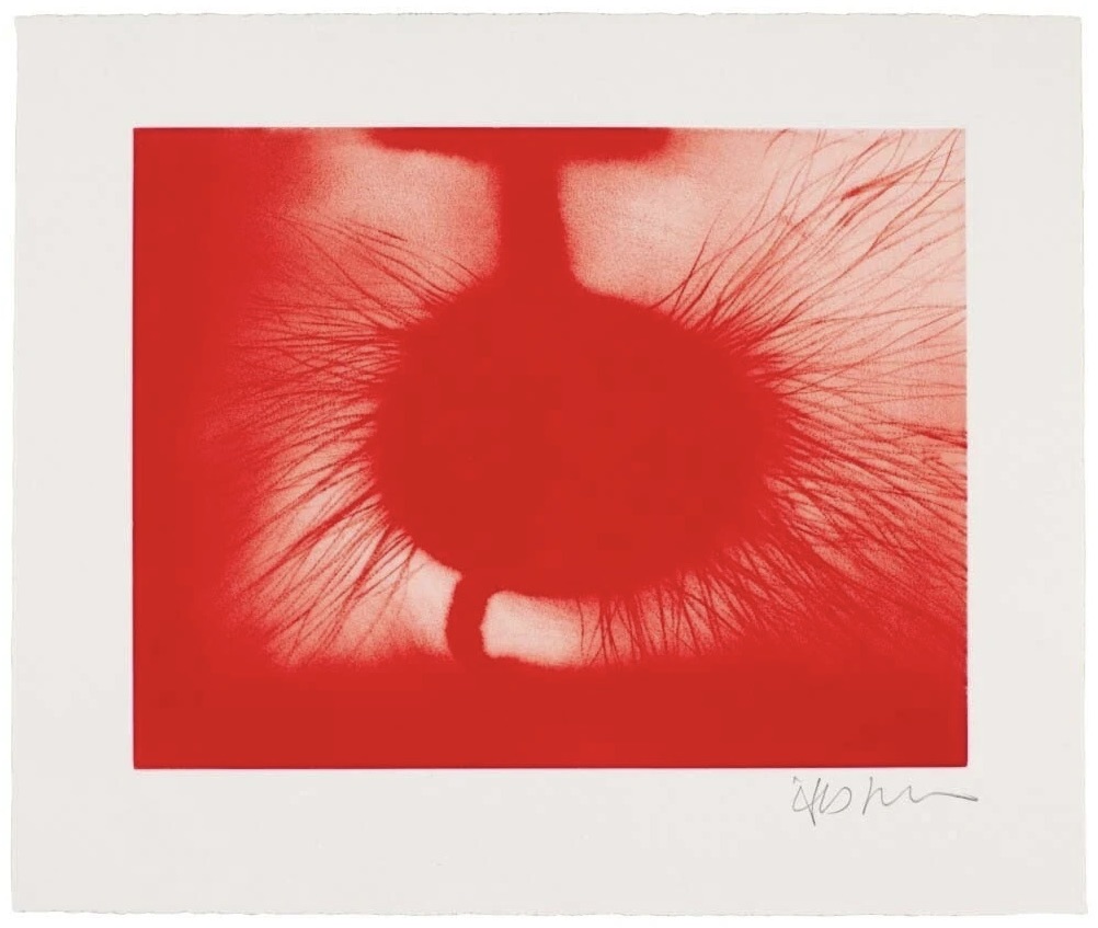 Kapoor, Anish | Untitled (Red Pulse), 2014 — available on Composition Gallery