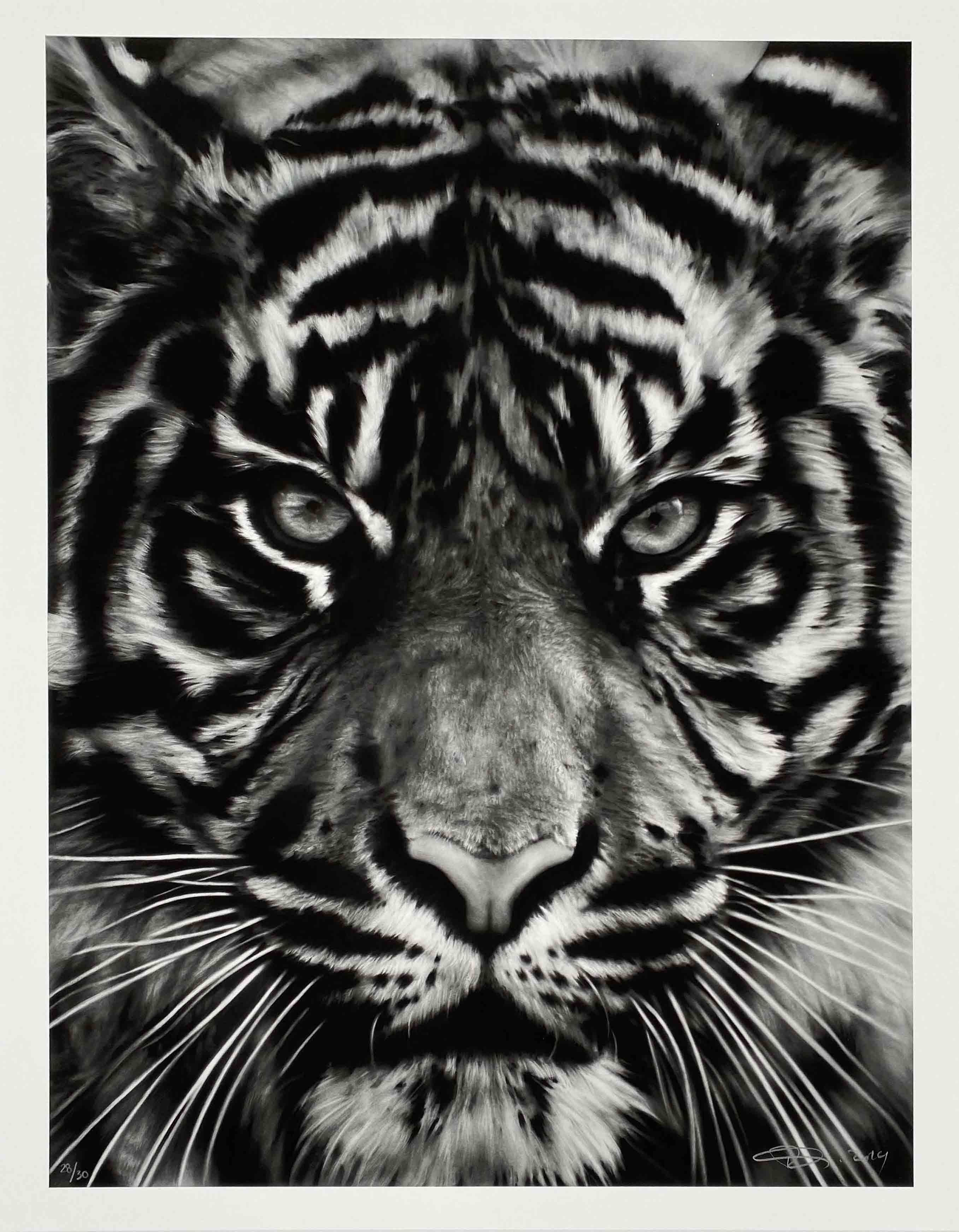 Robert Longo – Untitled (Tiger II), 2014 – Impresión con pigmento