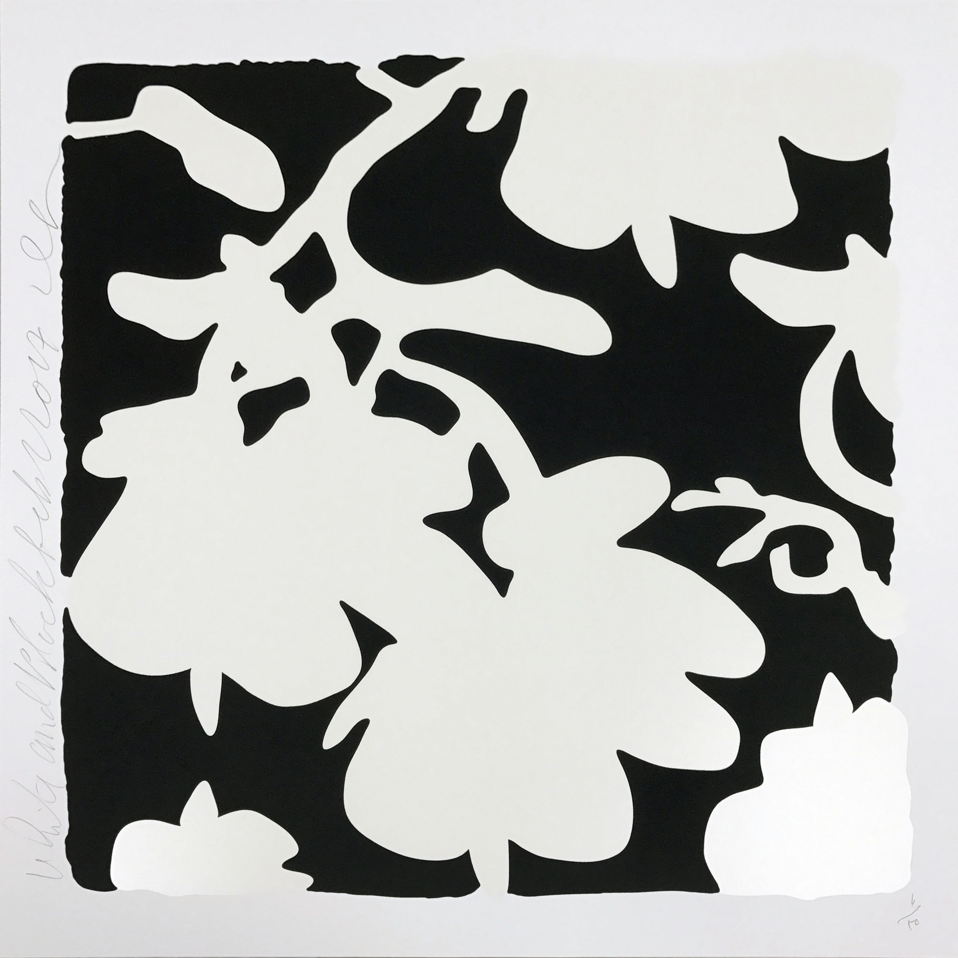Donald Sultan – Lantern Flowers - White/Black background, 2017 – Zeefdruk