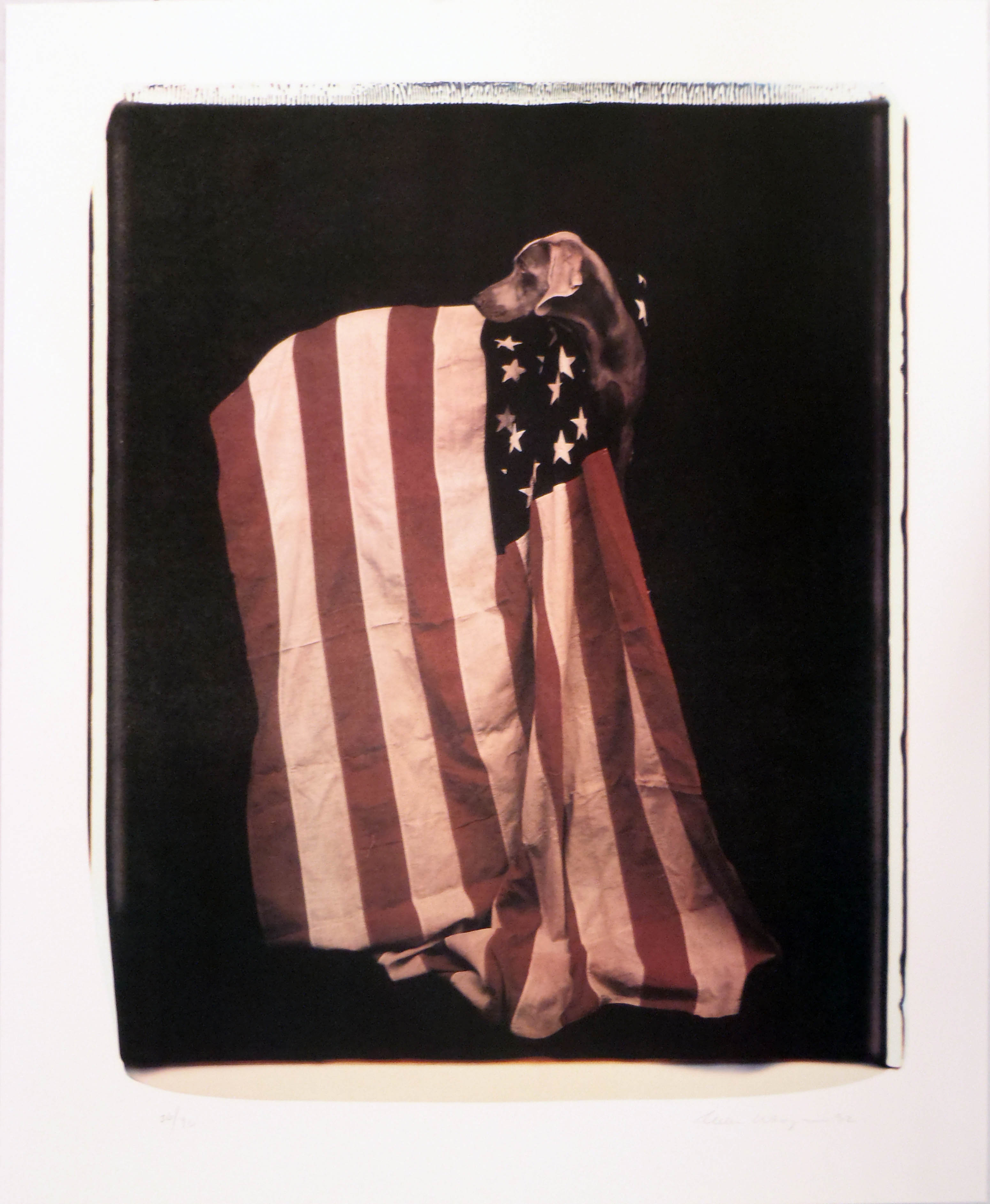 William Wegman – Profiles in Patriotism (from Freedom of Expression), 1992 – Lithographie