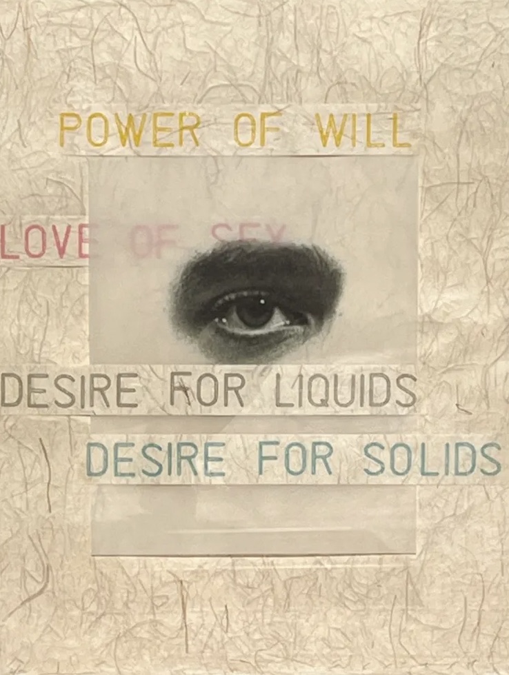 Jaume Plensa – Domestic Propensities 1. Love of home, 2002 – Collage