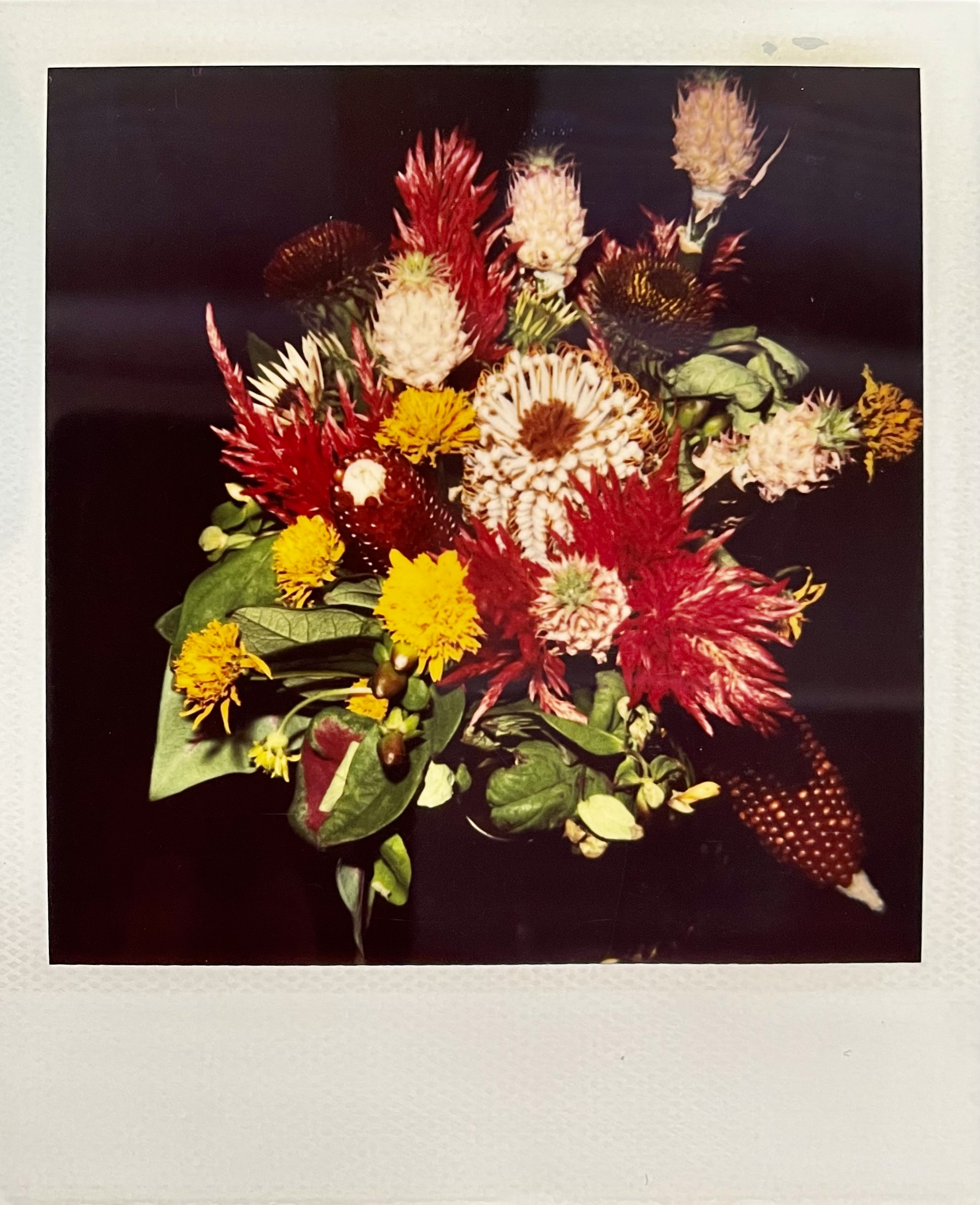Nobuyoshi Araki – Polaroid #1, 2006-2009 – Polaroid