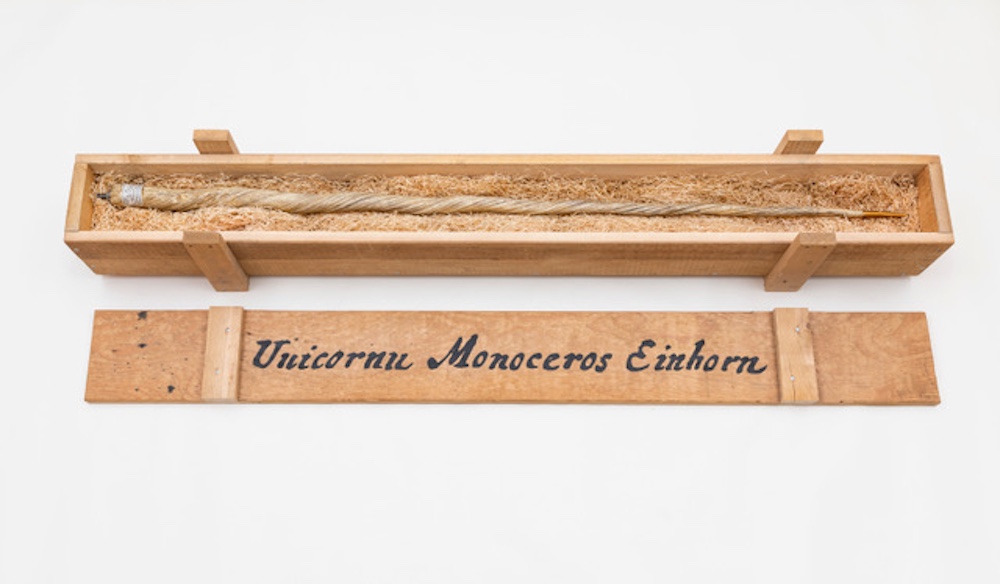 Mark Dion – My Most Priceless Treasure (unicorn), 2004 – Gemengde techniek.