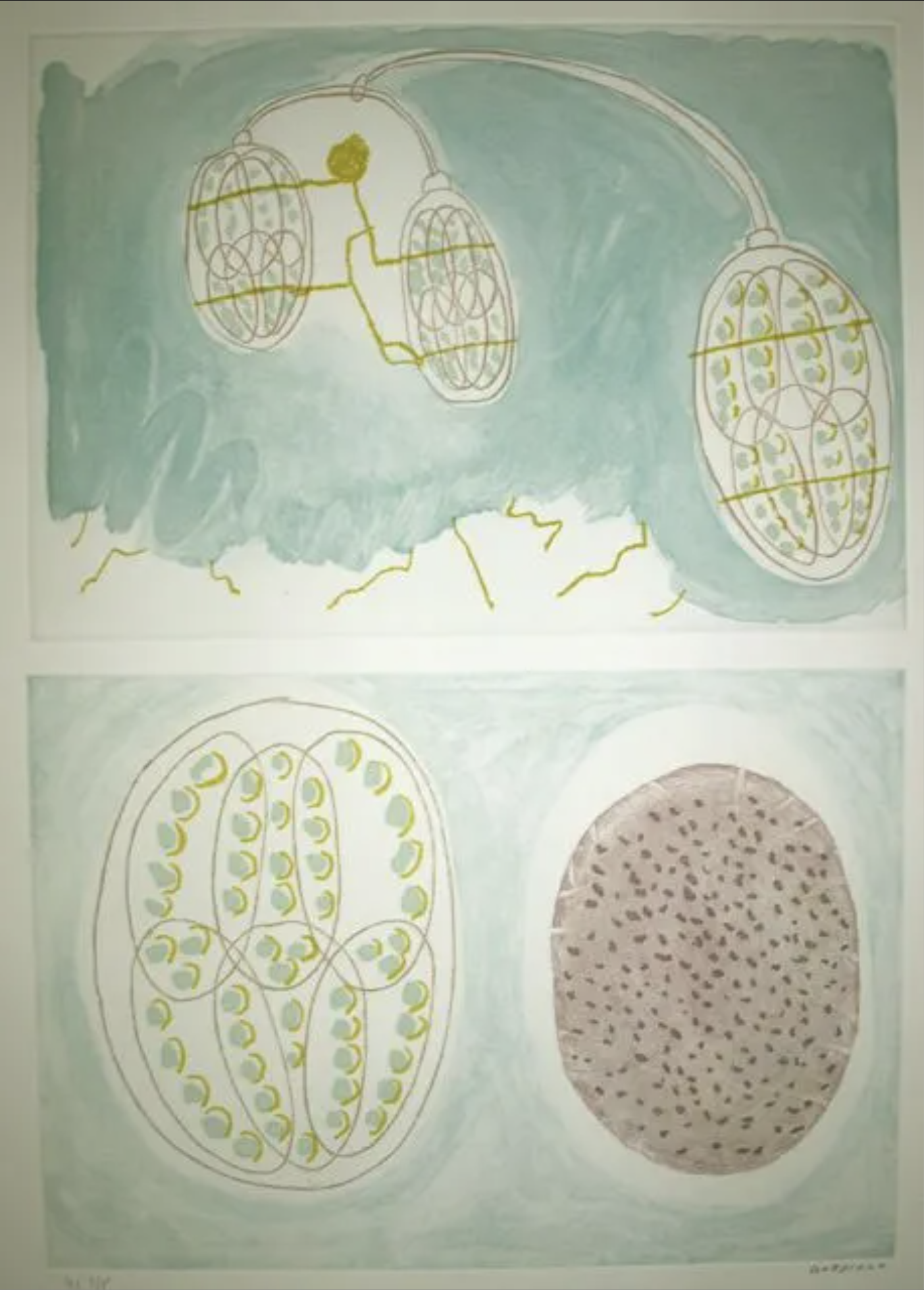 Luis Gordillo – Untitled (Suspended Cells), 1991 – Aguafuerte
