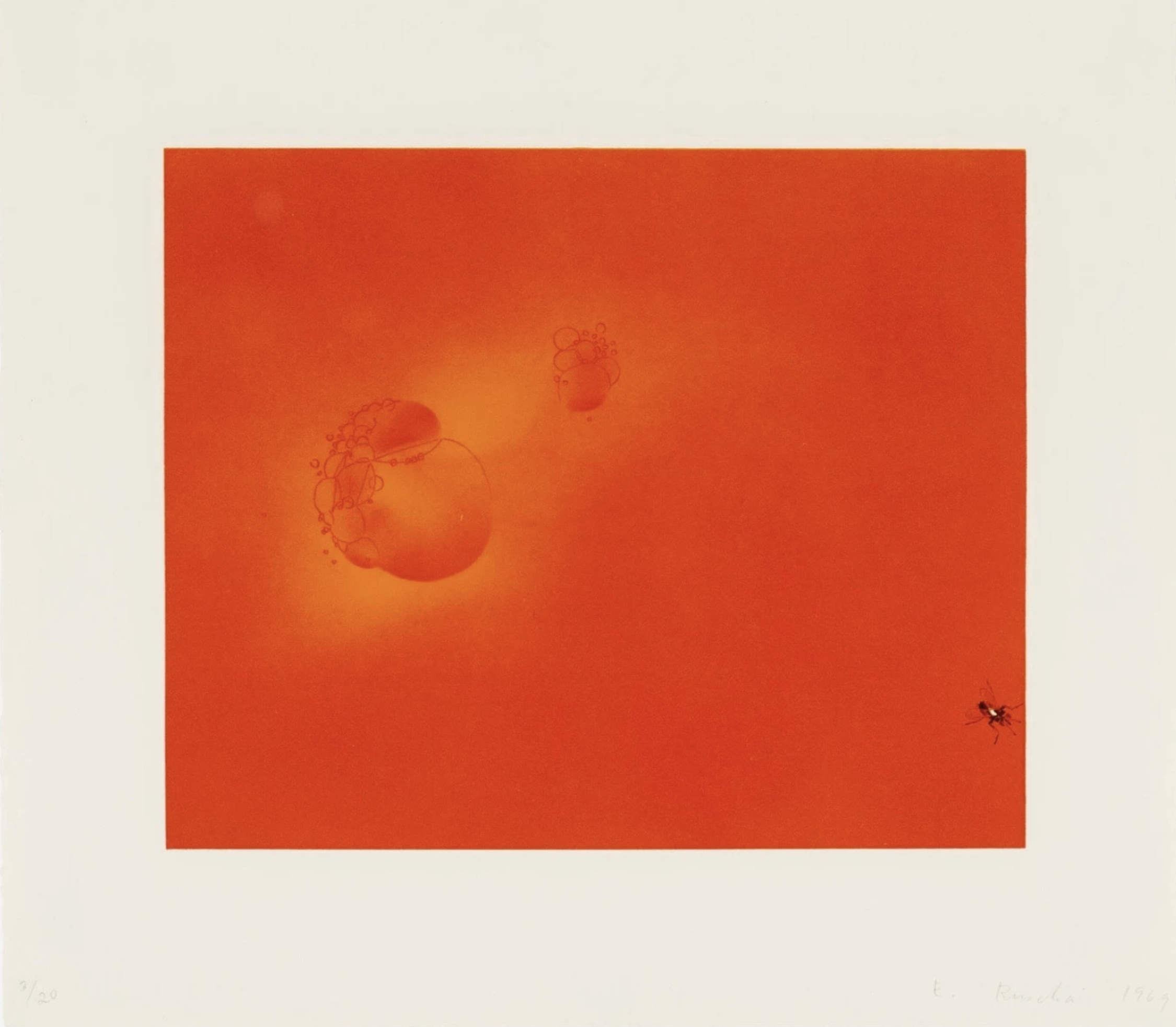 Ed Ruscha – Boiling Blood, Fly, 1969 – Lithograph