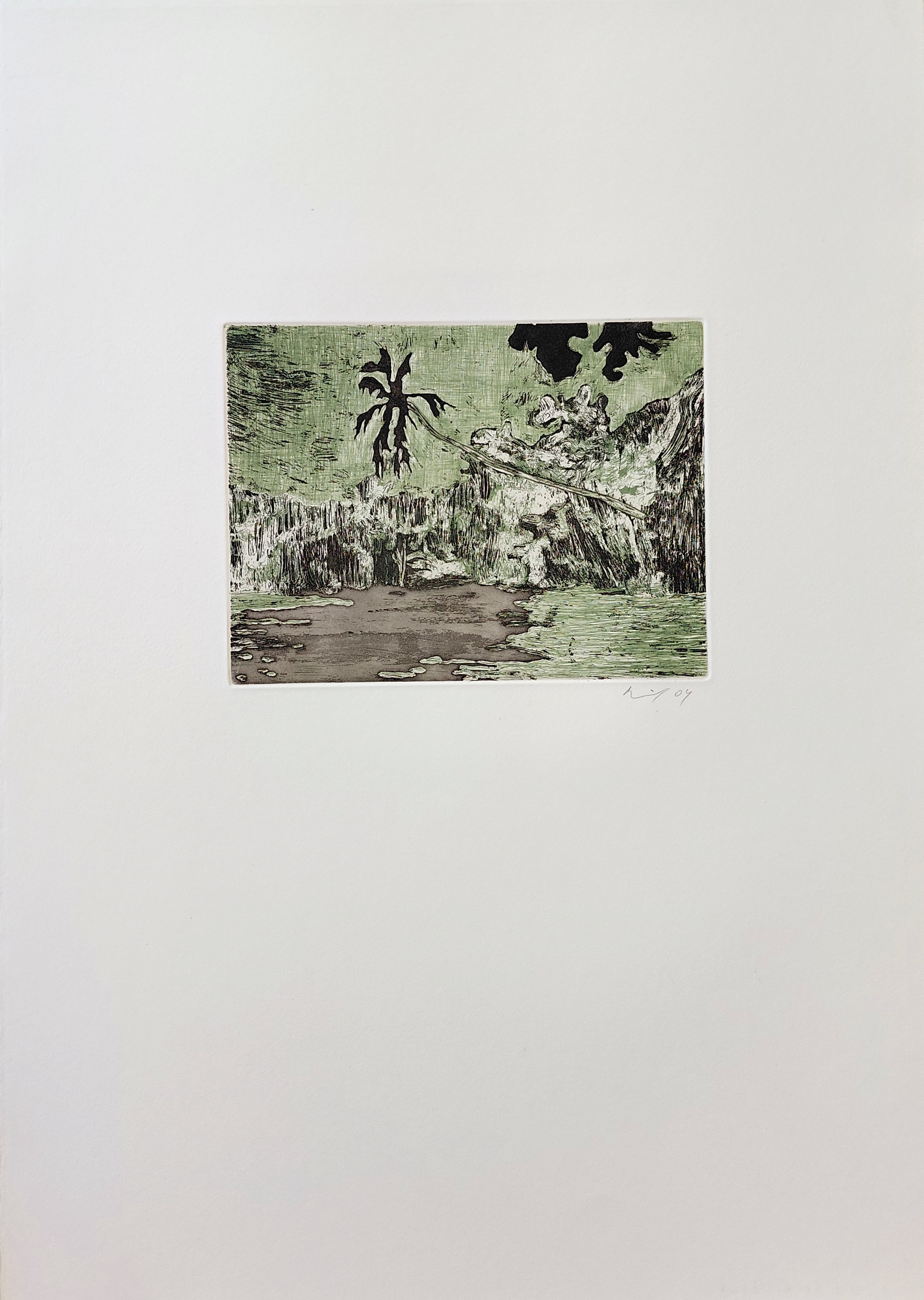 Peter Doig – Black Palm, 2004 – Radierung