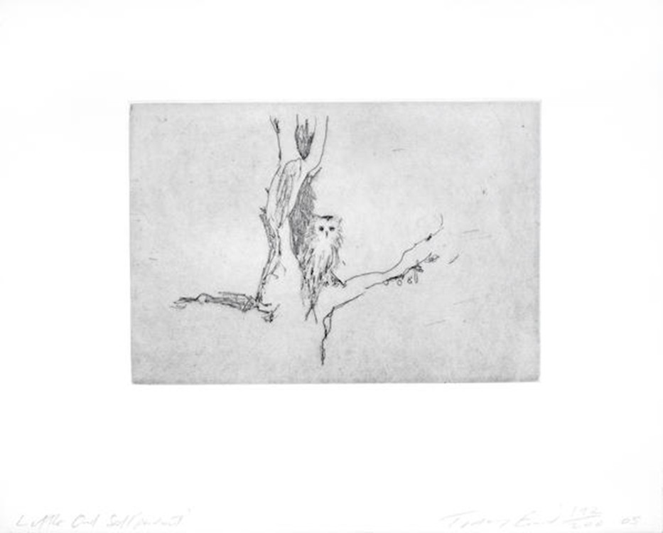 Tracey Emin – Little Owl (Self Portrait), 2005 – Gravure