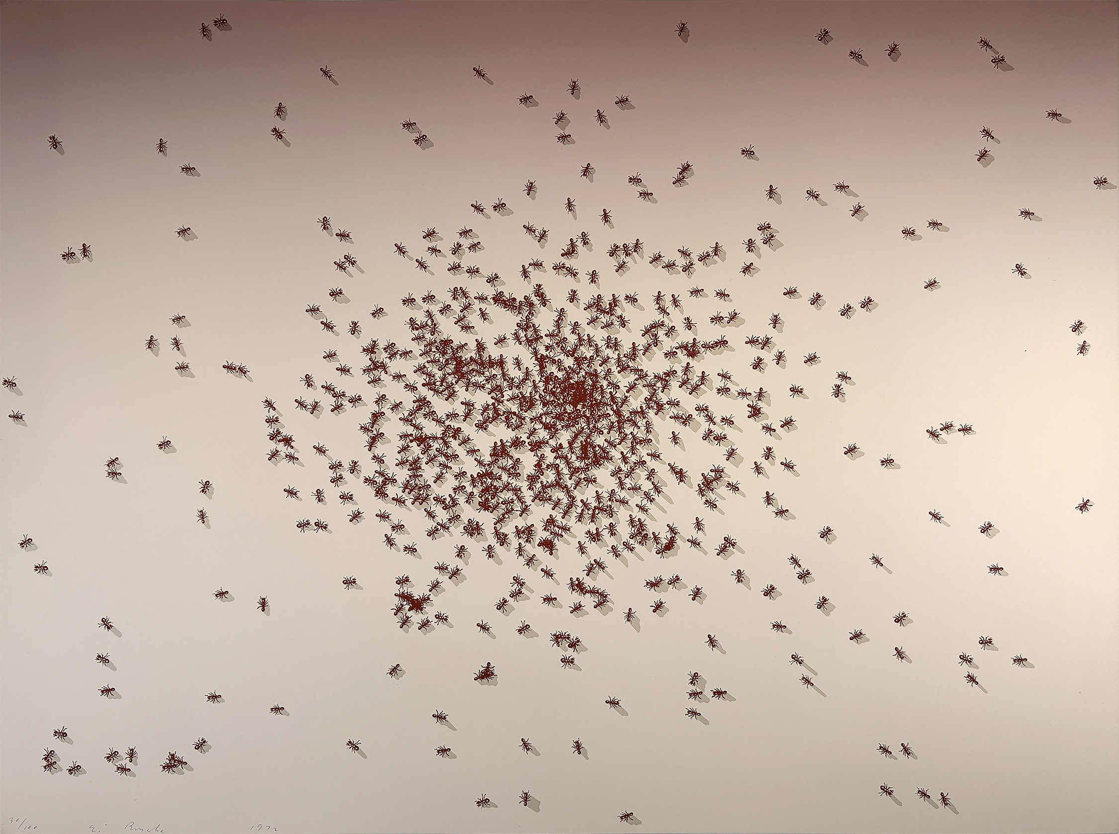 Ed Ruscha – Swarm of Red Ants from the Insects Portfolio, 1972 – Sérigraphie (Screen-print)