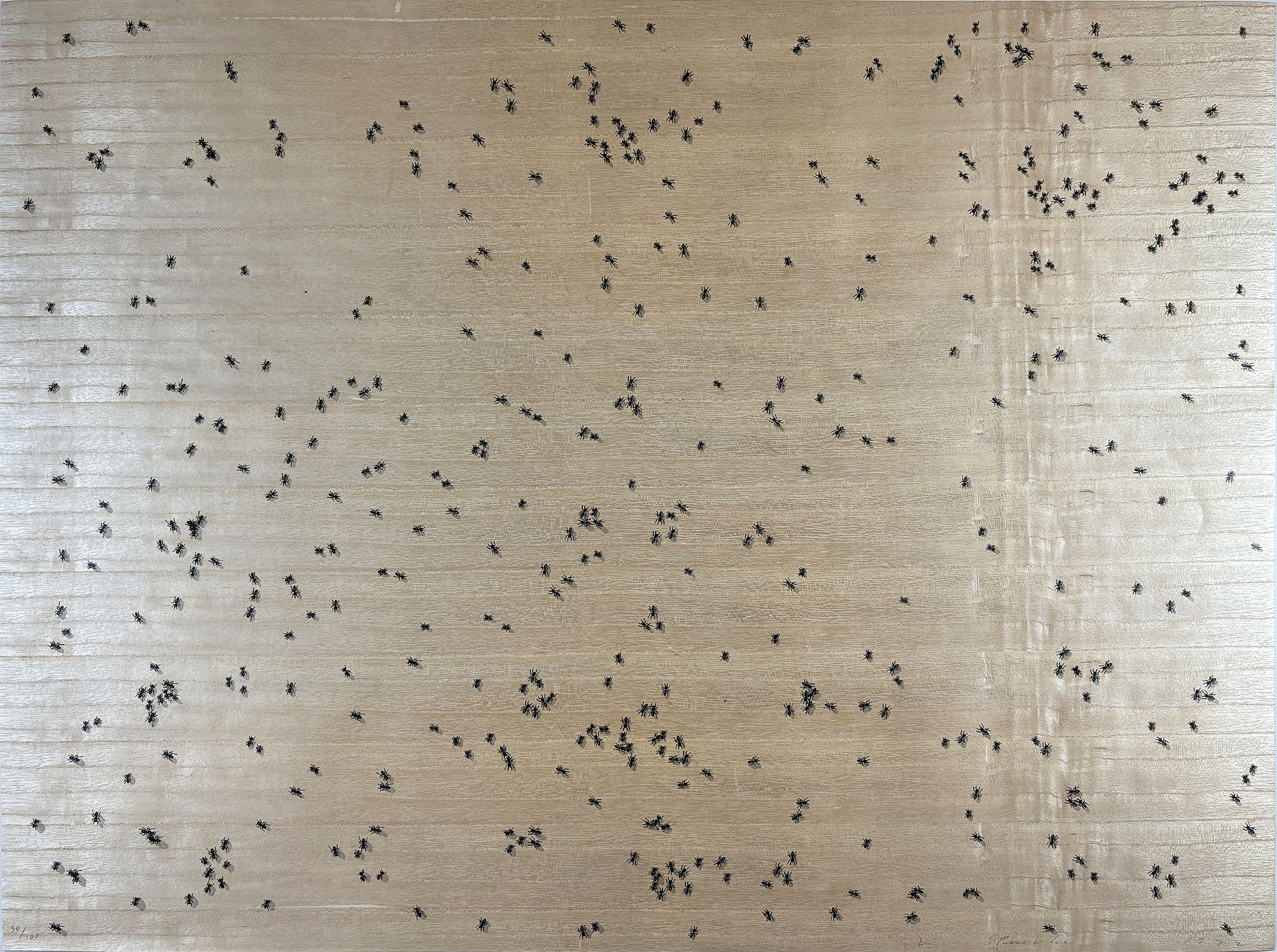 Ed Ruscha – Black Ants from the Insects Portfolio, 1972 – Sérigraphie (Screen-print)
