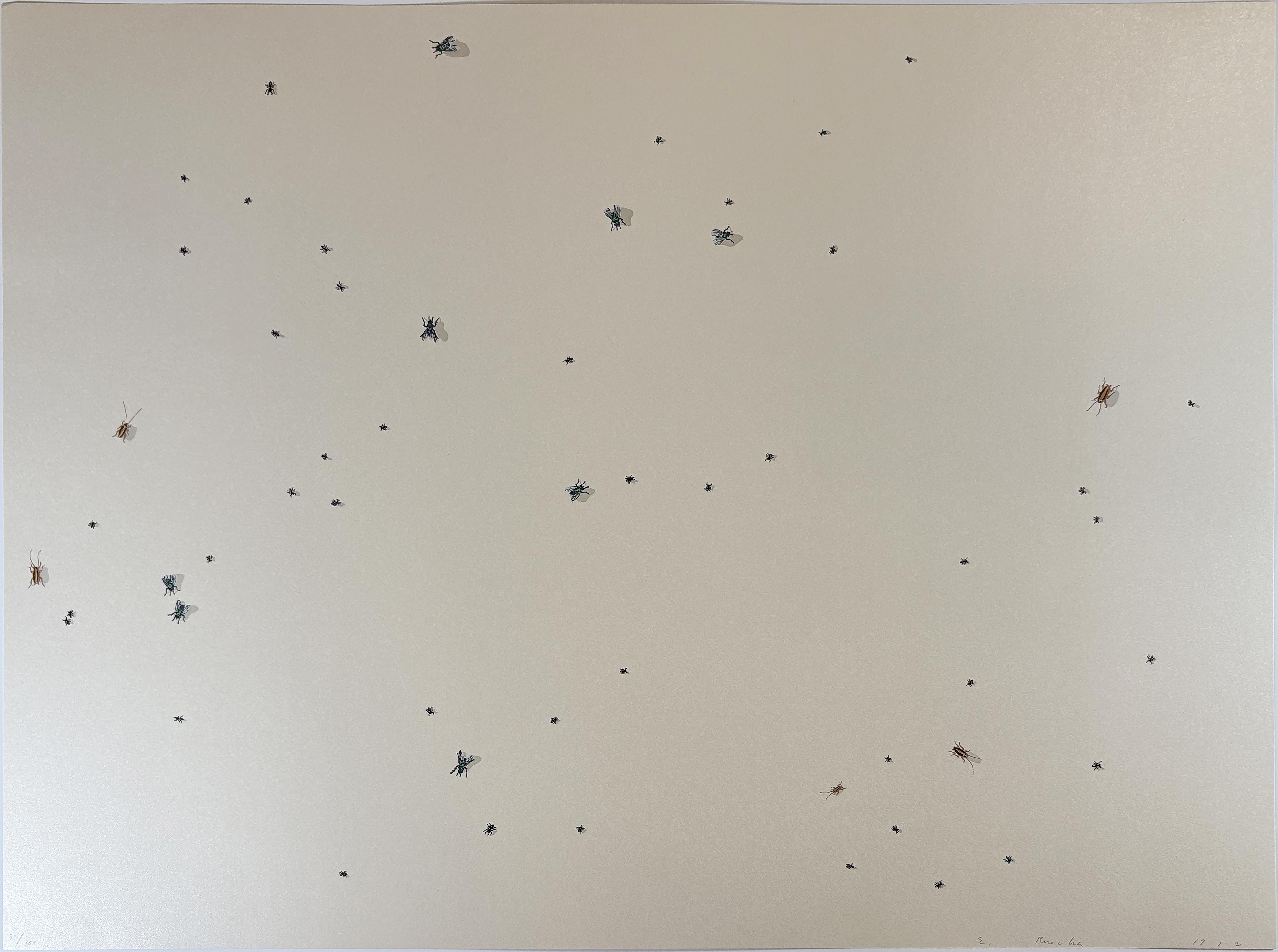 Ed Ruscha – Pearl Dust Combination from the Insects Portfolio, 1972 – Sérigraphie (Screen-print)