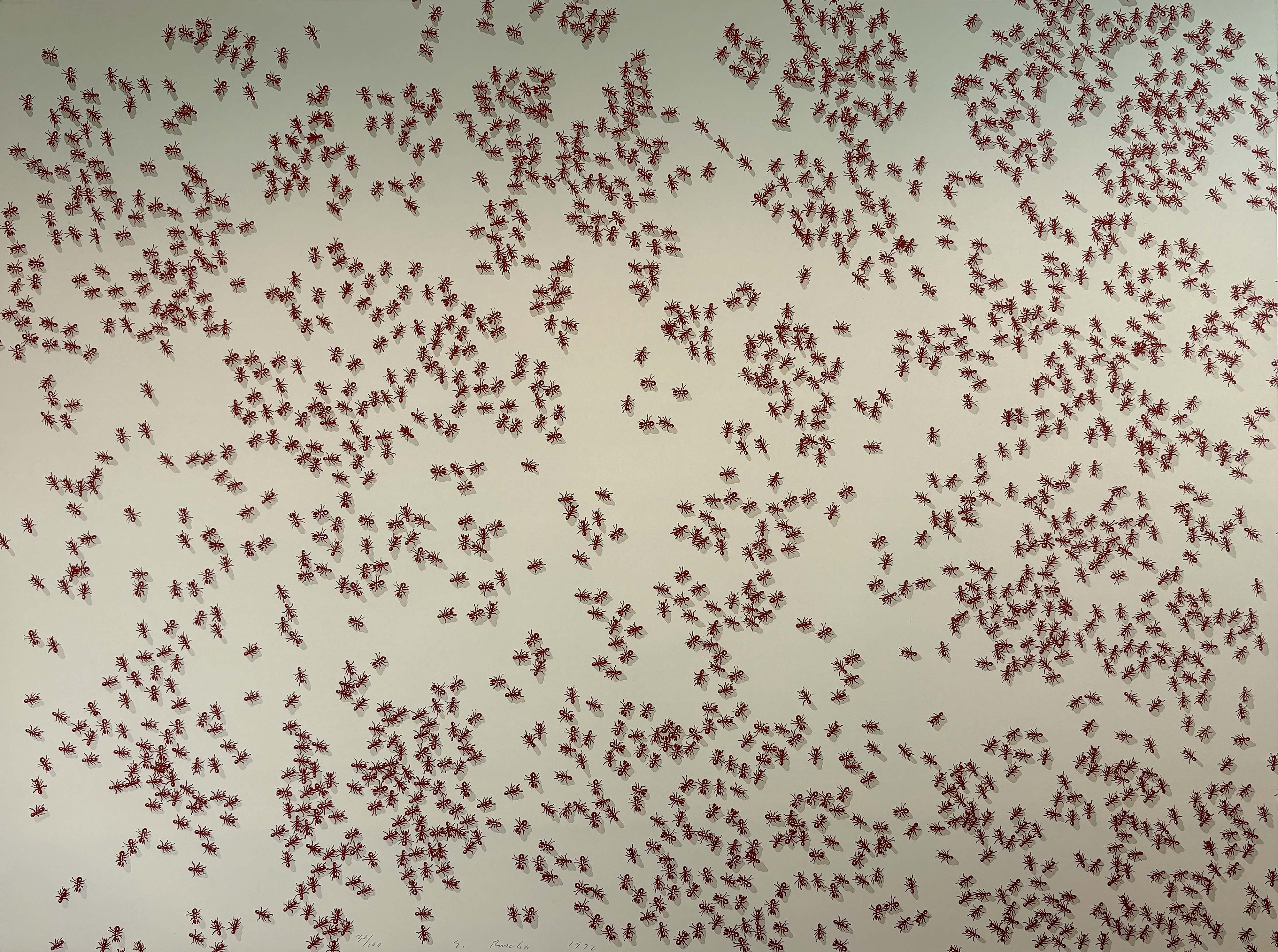 Ed Ruscha – Red Ants from the Insects Portfolio, 1972 – Sérigraphie (Screen-print)