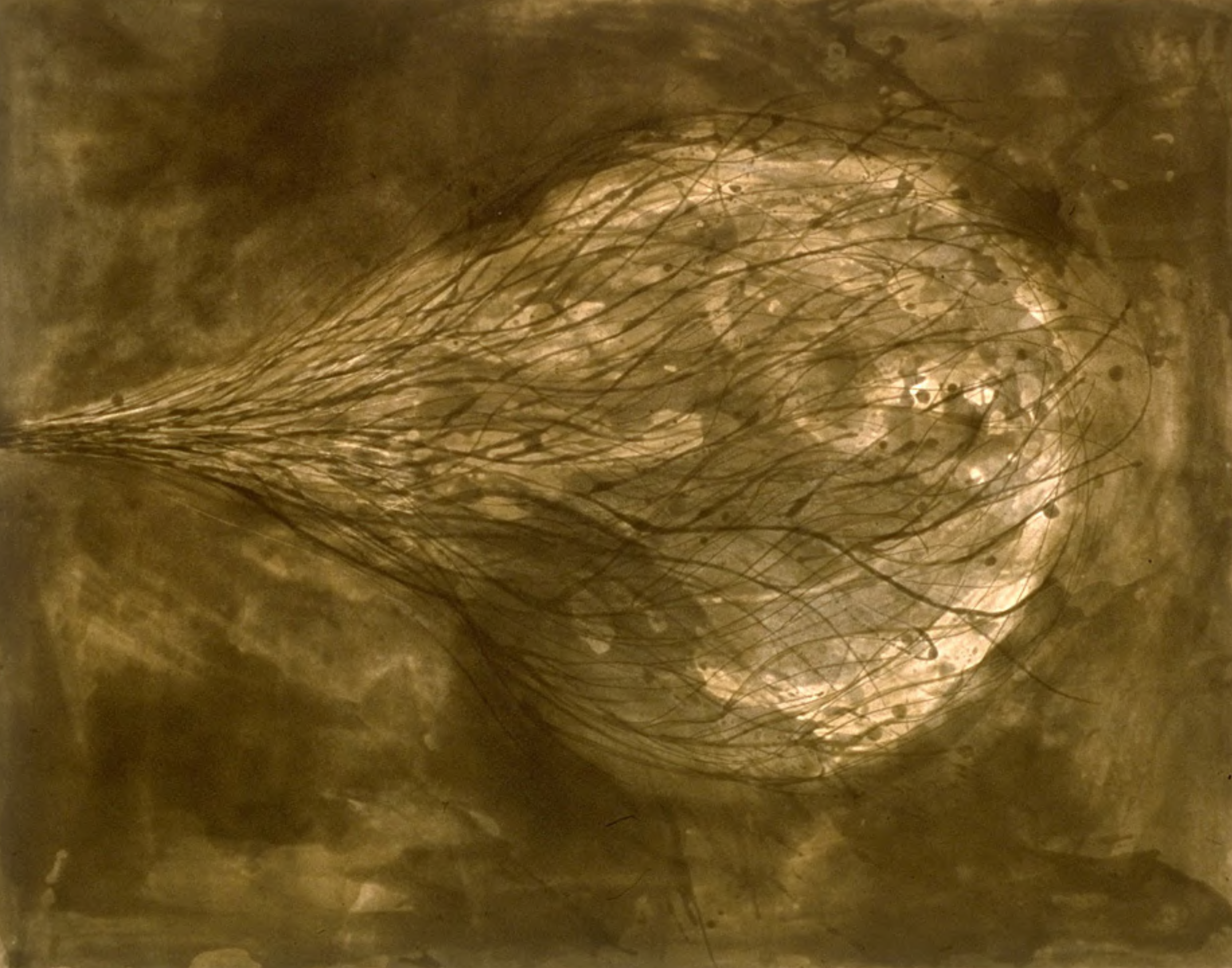 Anish Kapoor – Untitled (III), 1988 – Aquatinta