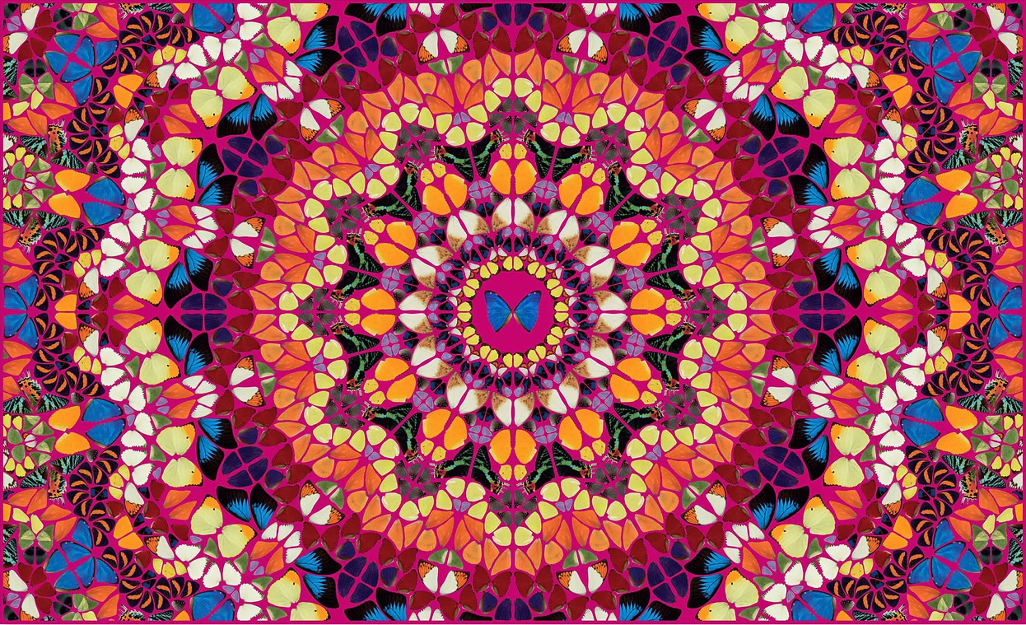 Damien Hirst – Harlequin from The Kaleidoscopes H18-1, 2024 – Giclée-Druck