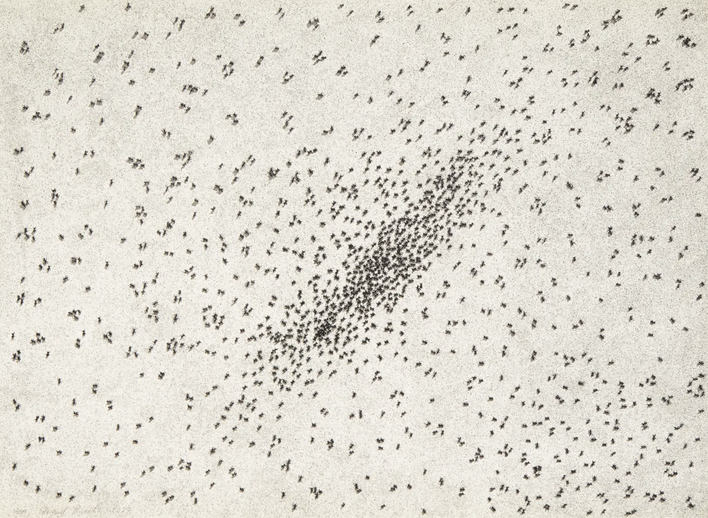 Ed Ruscha – Insect Slant (Ants) (from Reality & Paradoxes), 1973 – Técnica mixta