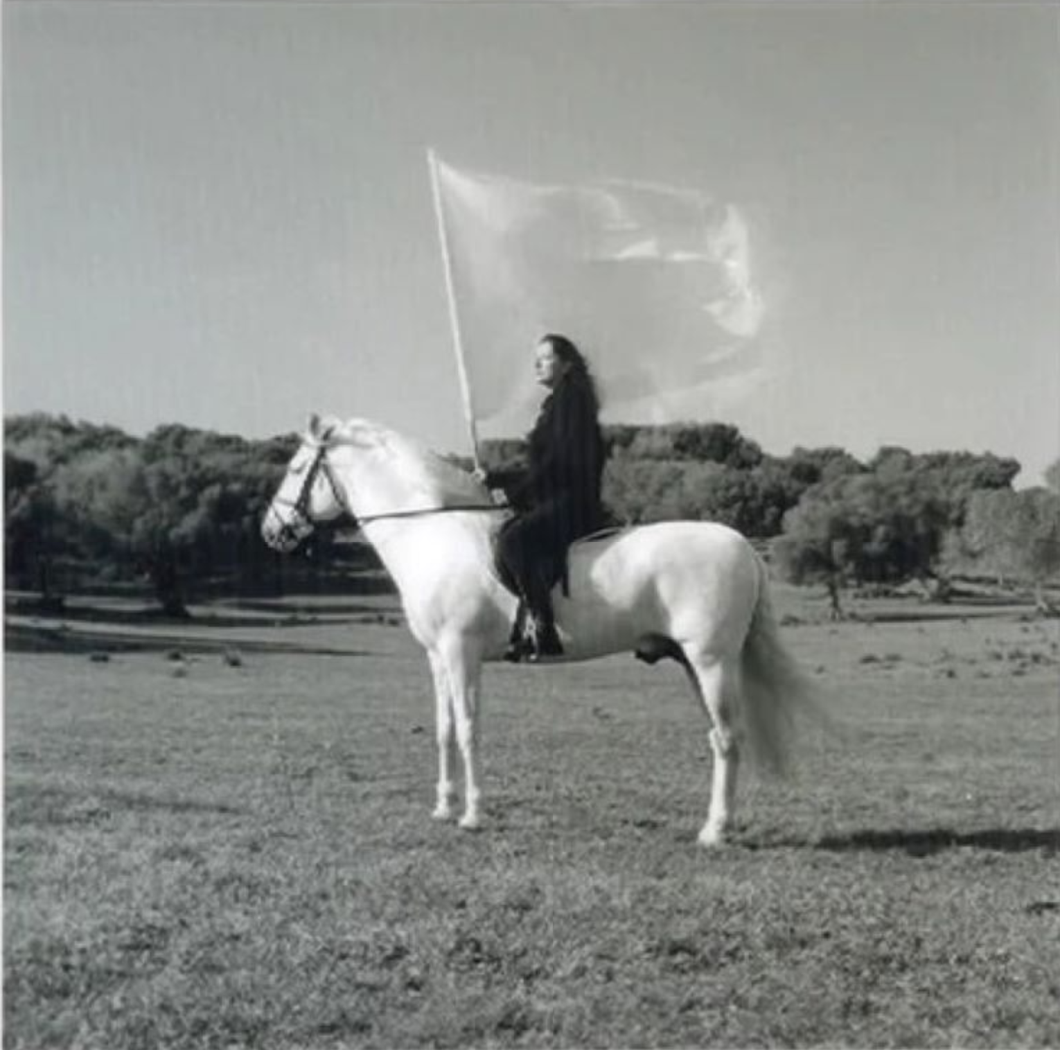 Marina Abramovic – The Hero, 2022 – Mixed média