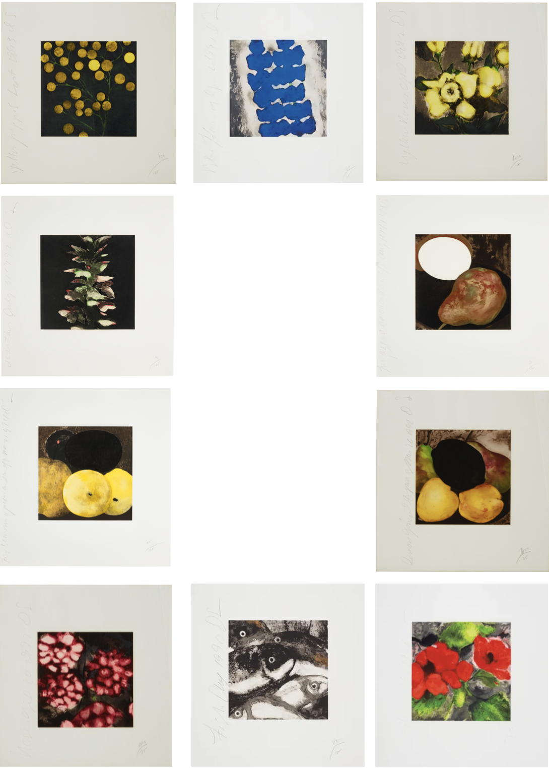 Donald Sultan – Fruit & Flowers, 1990’s – Screen-print