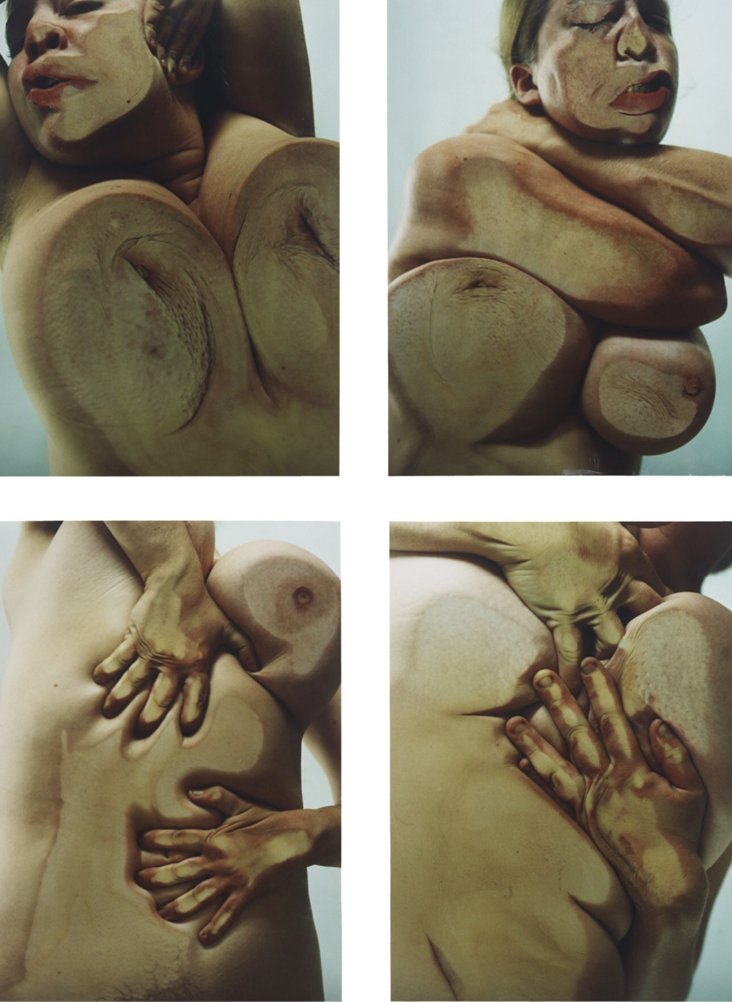 Jenny Saville – Close Contact, 2002 – C-print